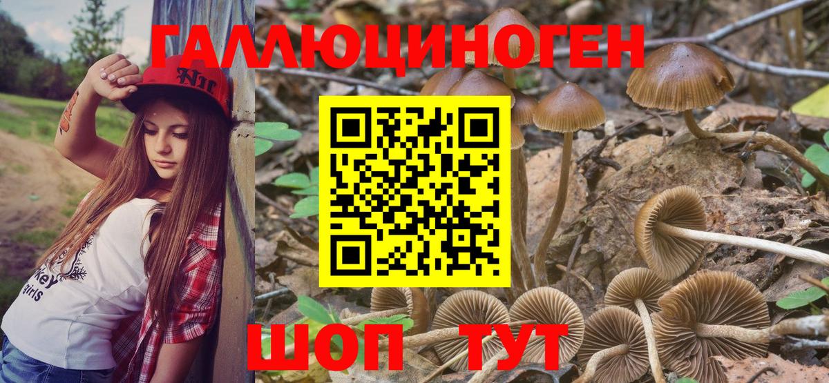 Псилоцибиновые грибы Cubensis  Вход с VPN  Жигулёвск 